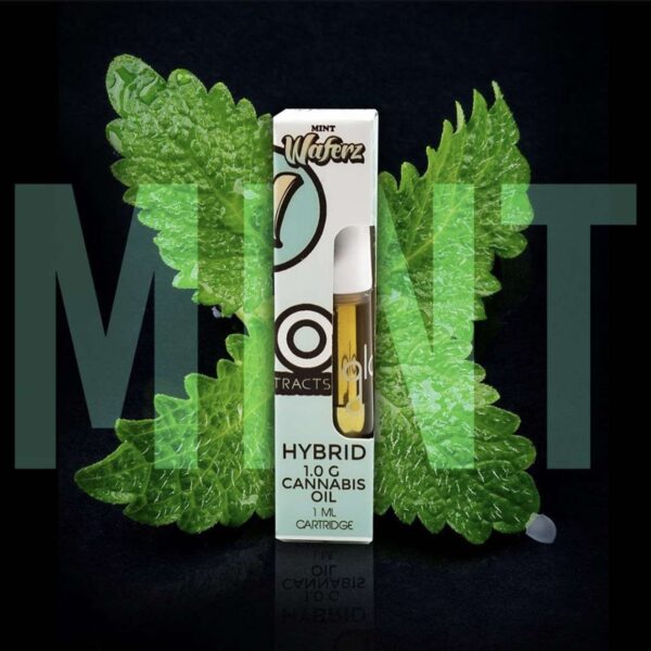 Buy Glo Extract Mint Online, buy glo mint online, glo carts mint for sale, Buy Glo carts Texas, glo extracts for sale Florida